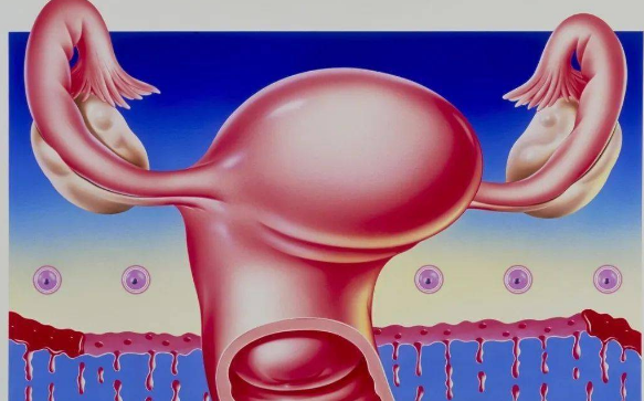 什么是子宫内膜容受性？