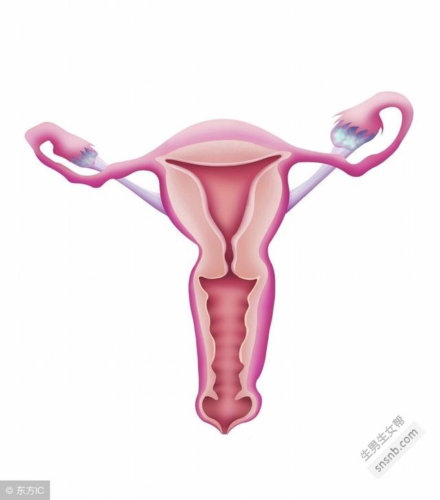 子宫内膜炎的症状和不孕的原因