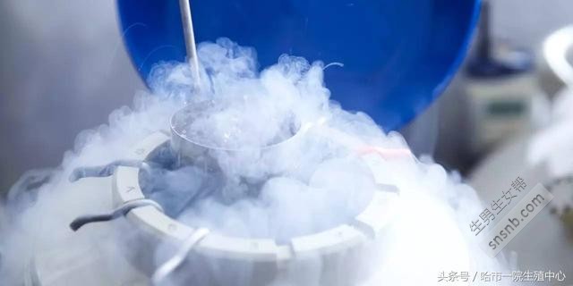 什么时候可以选择冷冻胚胎移植做试管婴儿？