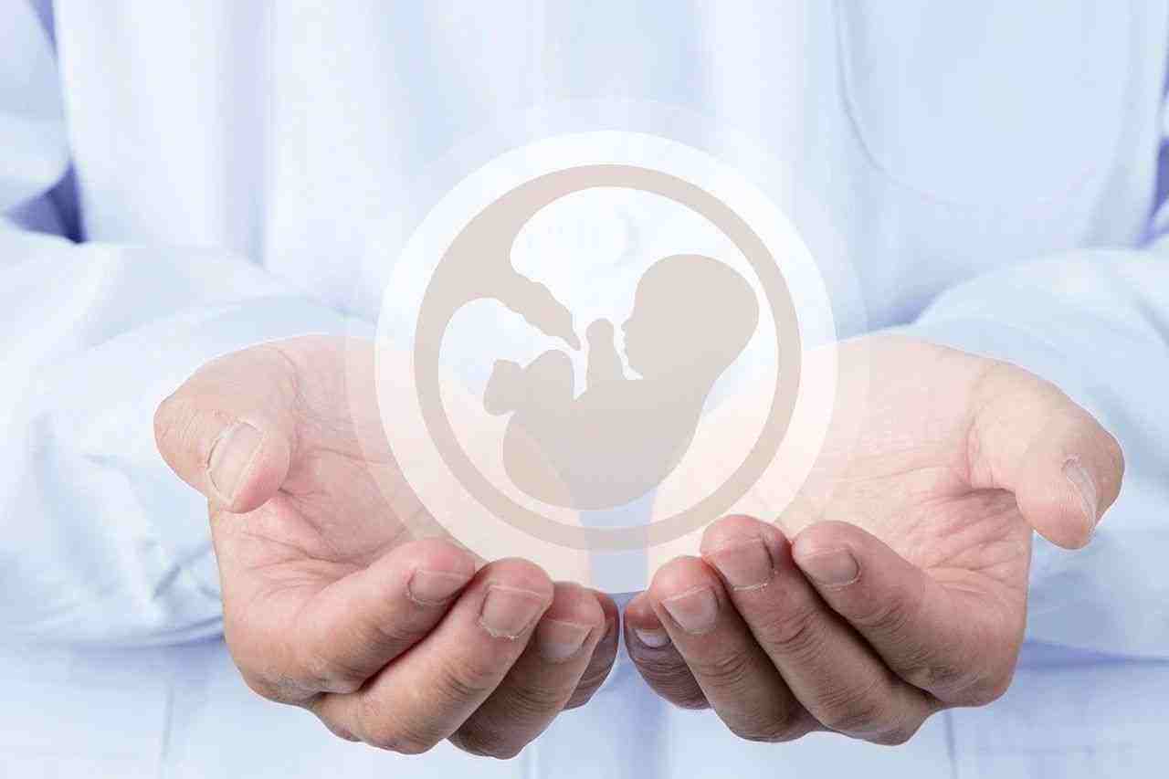 襄阳二代供卵助孕：2023年湖北提供供卵受精的机构名单。